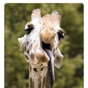 Meet your Posher, Makayla